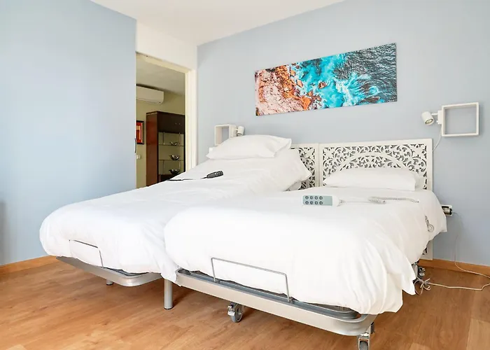 Siena Urban Live Canarias